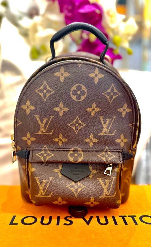 Louis Vuitton - Palm Springs Mini Rucksack