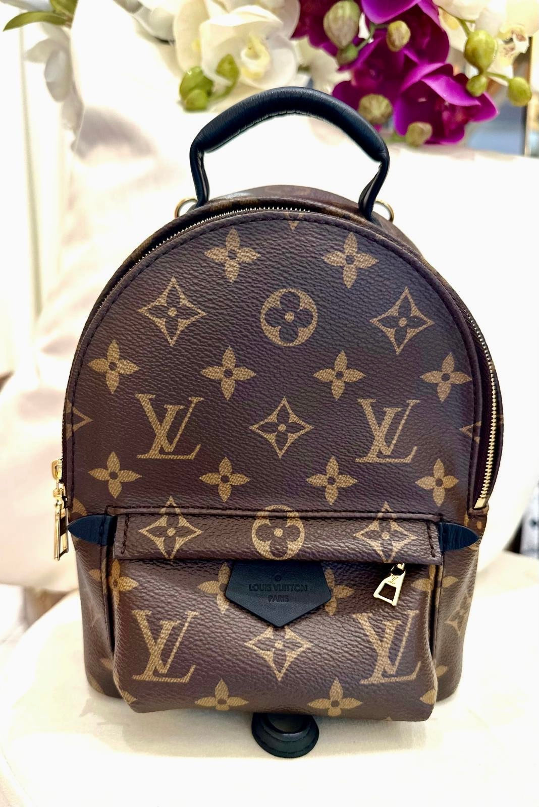 Louis Vuitton - Palm Springs Mini Rucksack